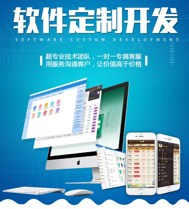 1605426904499831 行業(yè)軟件開(kāi)發(fā)